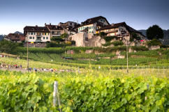 Oberhalb der Rebberge liegt das ehemalige Winzerhaus La Vigneronne. Eine luxeriöse Maisonette Wohnung mit Gartenterrasse, Aussenküche und wunderbarer Sicht auf den Lac Léman und die Berge erwartet Sie. Bis zu 6 Personen.